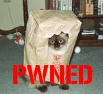 pwned_cat1.jpg