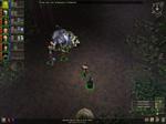 Dungeon Siege Screen - 0017.jpg