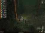 Dungeon Siege Screen - 0046.jpg